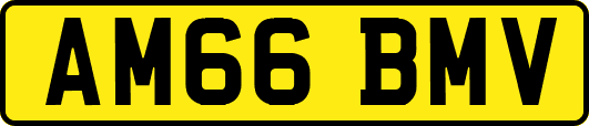 AM66BMV