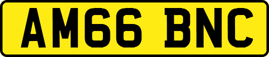 AM66BNC