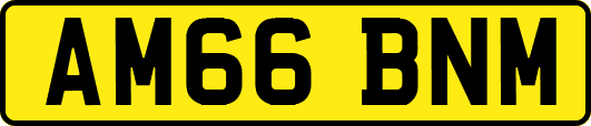 AM66BNM