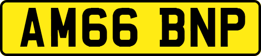 AM66BNP