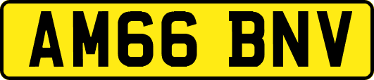 AM66BNV