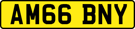 AM66BNY