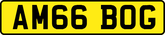 AM66BOG
