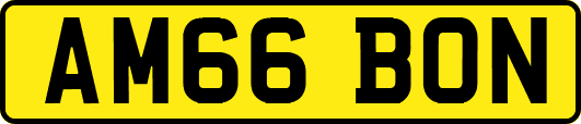 AM66BON