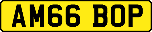 AM66BOP