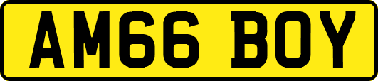 AM66BOY
