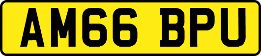 AM66BPU