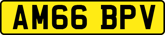 AM66BPV