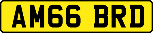 AM66BRD