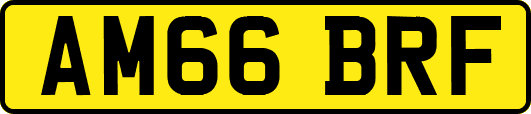 AM66BRF