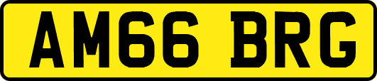 AM66BRG