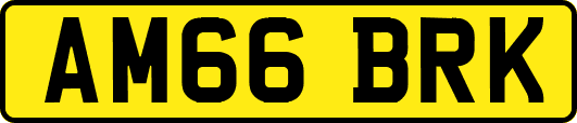 AM66BRK