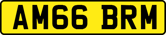 AM66BRM