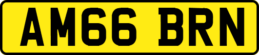 AM66BRN