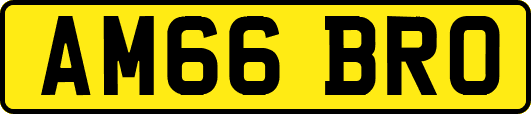 AM66BRO