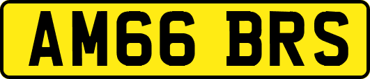 AM66BRS