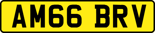 AM66BRV