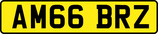 AM66BRZ