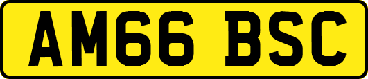 AM66BSC