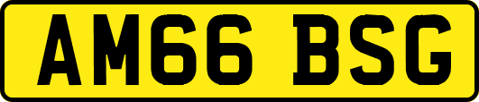 AM66BSG