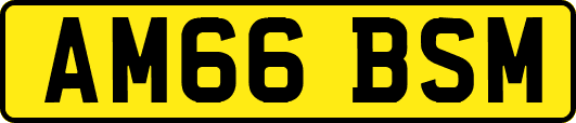 AM66BSM