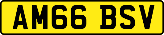 AM66BSV