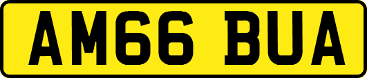 AM66BUA