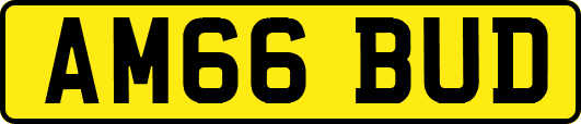 AM66BUD