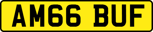 AM66BUF