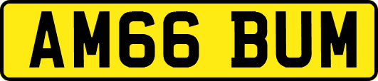 AM66BUM