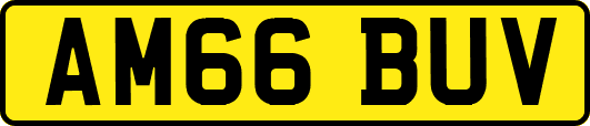 AM66BUV