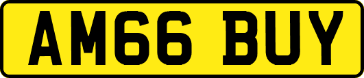 AM66BUY
