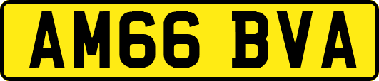 AM66BVA