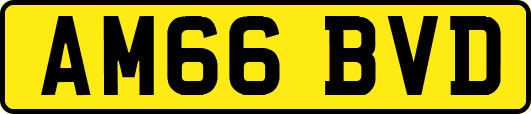 AM66BVD