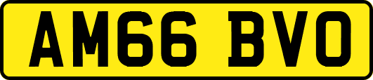 AM66BVO