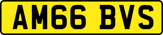 AM66BVS