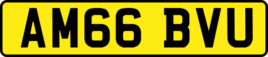 AM66BVU