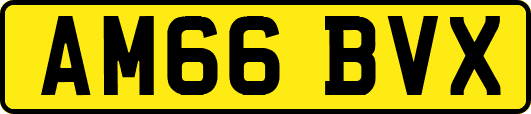AM66BVX