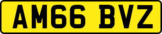 AM66BVZ