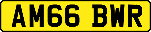 AM66BWR