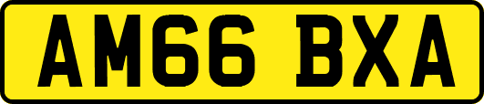 AM66BXA