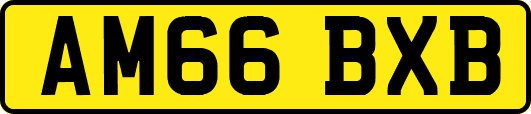 AM66BXB