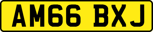 AM66BXJ