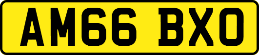 AM66BXO