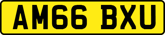 AM66BXU