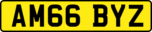 AM66BYZ