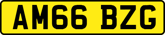 AM66BZG