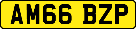 AM66BZP