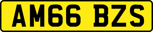 AM66BZS