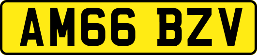 AM66BZV